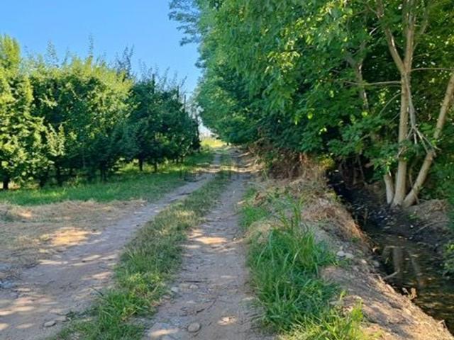 Terreno in vendita di 26814 m² in Via Colombaro dei Rossi