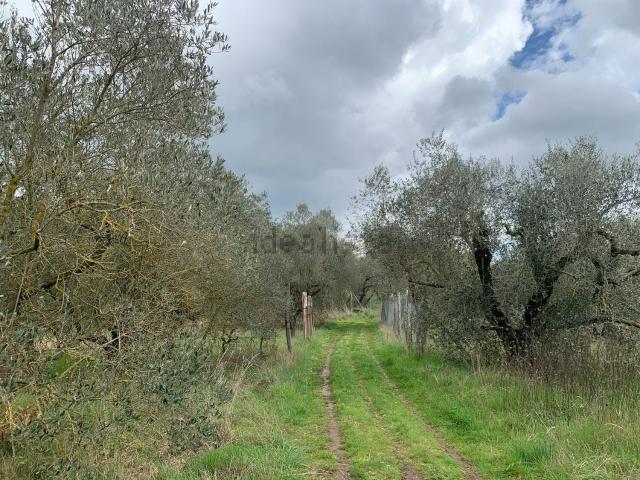 Terreno in vendita di 2600 m² in Strada dei Galli