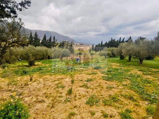 Terreno in vendita di 2600 m² in Strada Provinciale 47