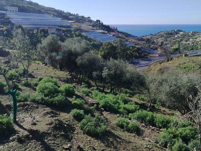 Terreno in vendita di 2600 m² in Strada Provinciale 55