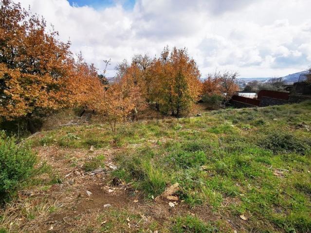 Terreno in vendita di 2600 m² in Via De Curtis