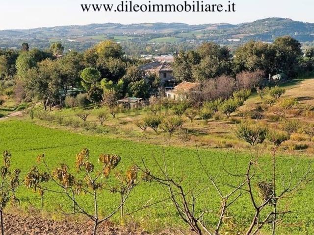 Terreno in vendita di 260850 m²