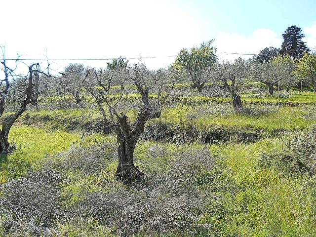Terreno in vendita di 2610 m² in Via di Vignoli