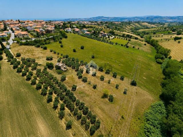 Terreno in vendita di 26200 m² in Via Francesco Patella