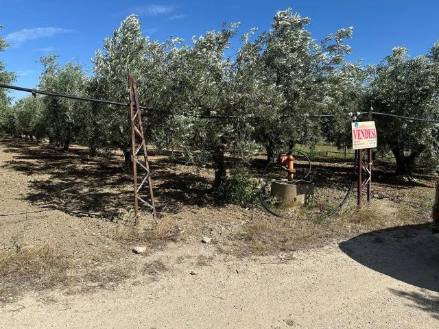 Terreno in vendita di 2630 m²