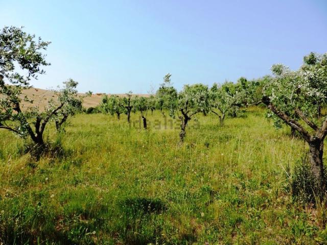 Terreno in vendita di 2740 m² in Via Vittorio Emanuele, 1