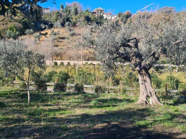 Terreno in vendita di 2747 m² in Via Alessandro III