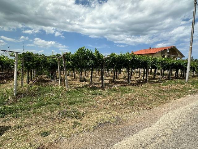 Terreno in vendita di 2760 m² in Contrada Perazza, 63