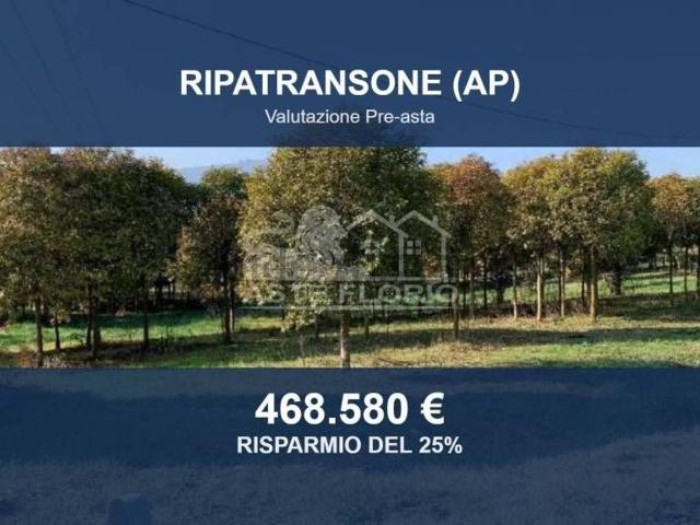 Terreno in vendita di 276549 m² in Contrada Brancuna