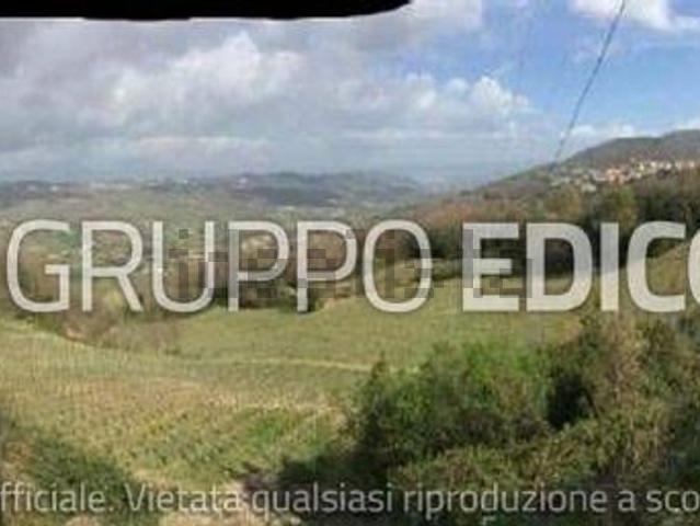 Terreno in vendita di 27794 m² in Via Campo