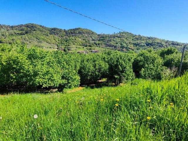 Terreno in vendita di 270000 m² in Via Duccio Galimberti