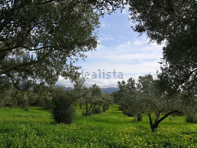 Terreno in vendita di 27000 m² in Località sa tapagiu