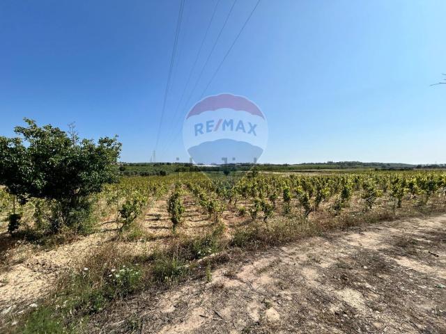 Terreno in vendita di 27375 m² in Strada Senza Nome