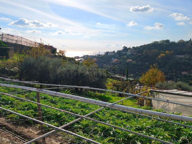 Terreno in vendita di 2800 m² in Strada Villa