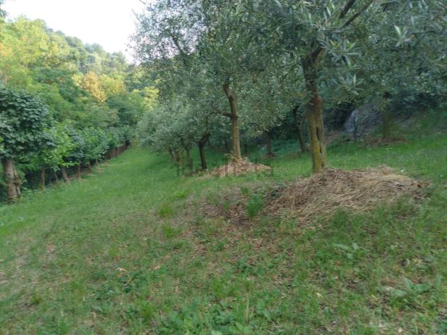 Terreno in vendita di 2800 m² in Via Lombarda