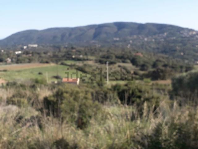 Terreno in vendita di 2800 m² in Via LOSTO