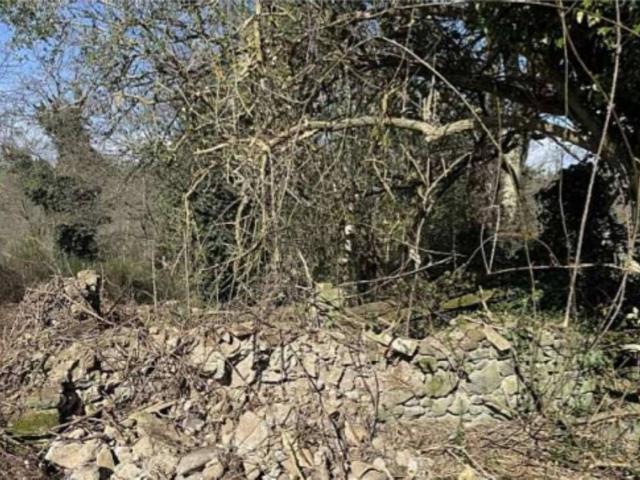 Terreno in vendita di 28300 m² in Località Casa Perazza