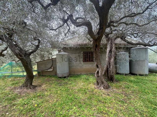 Terreno in vendita di 2830 m² in Contrada Rosa
