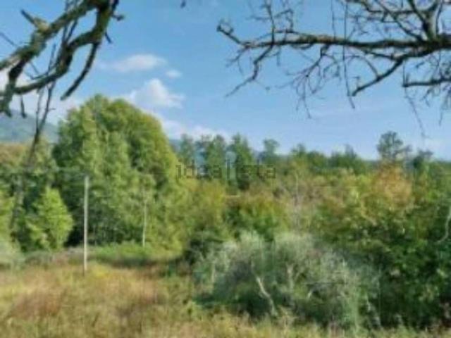 Terreno in vendita di 28334 m² in Frazione Bargoli Prato di Mora