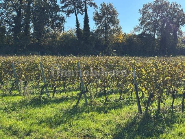 Terreno in vendita di 29409 m² in Località Costalunga