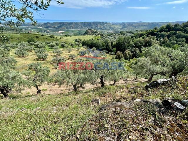 Terreno in vendita di 29500 m² in Contrada Piana