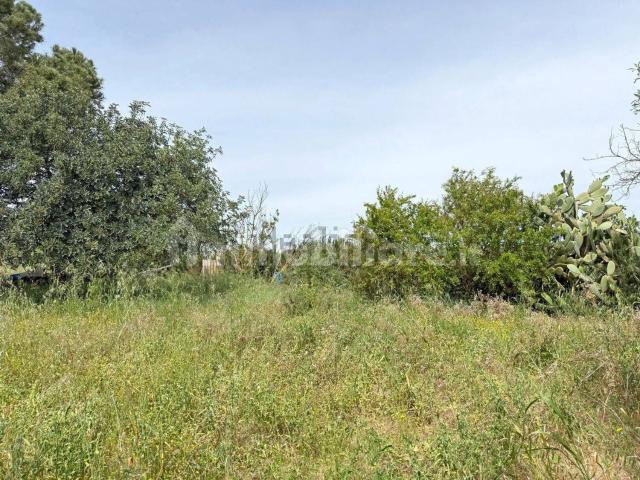 Terreno in vendita di 2960 m²