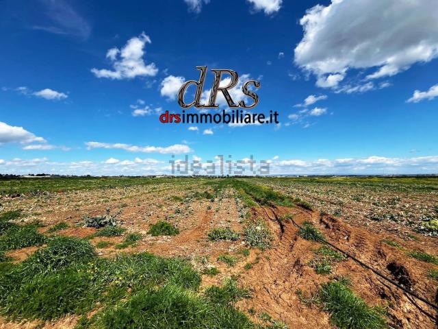 Terreno in vendita di 29800 m² in Via Pier Paolo Pasolini, 27