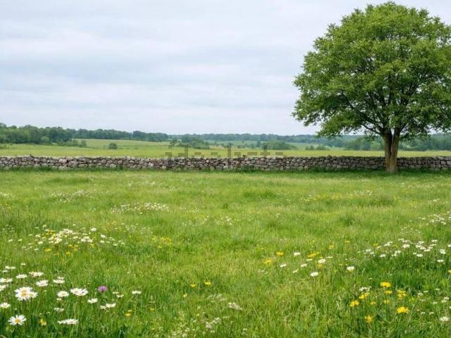 Terreno in vendita di 29832 m² in Strada Comunale Rocco