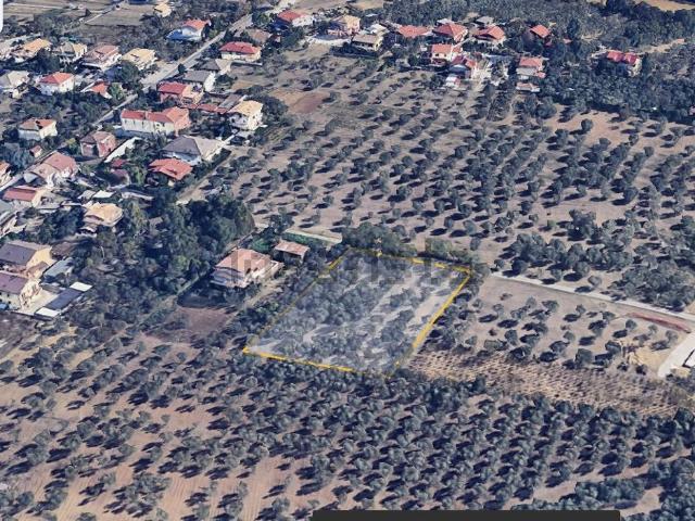 Terreno in vendita di 2990 m² in Contrada Rapattoni Superiore