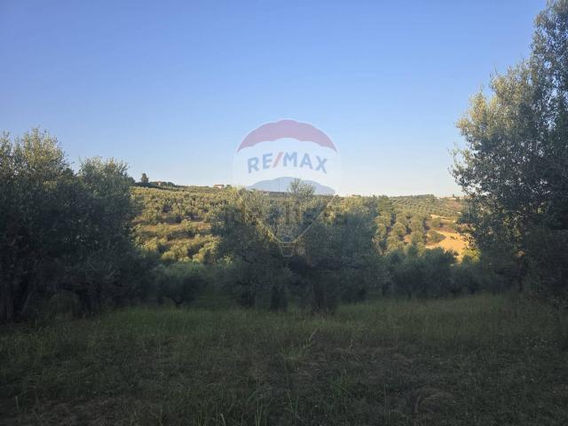 Terreno in vendita di 29970 m² in Contrada Astignano