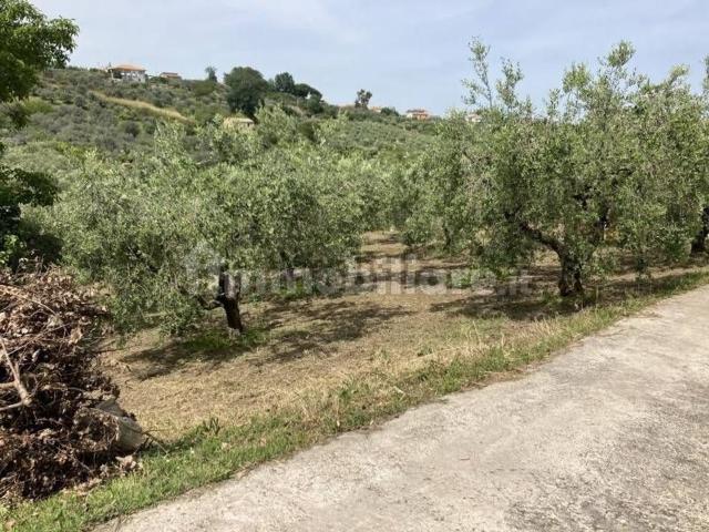 Terreno in vendita di 2900 m²