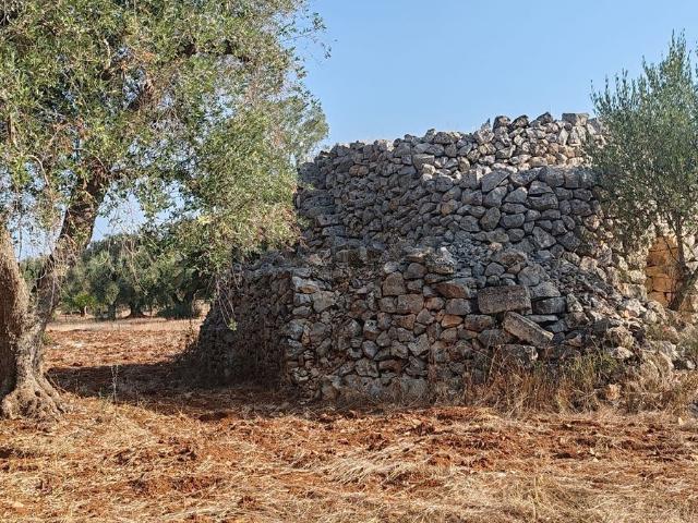 Terreno in vendita di 2912 m² in Strada Comunale San Marzano Oria