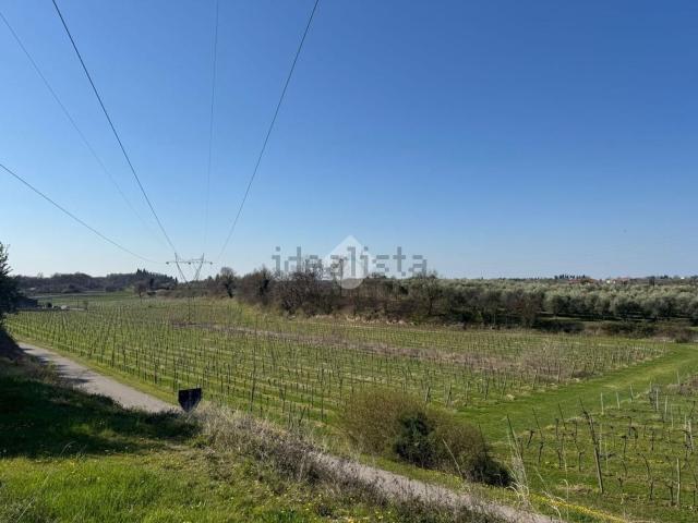 Terreno in vendita di 29245 m² in Via Cerea, 1