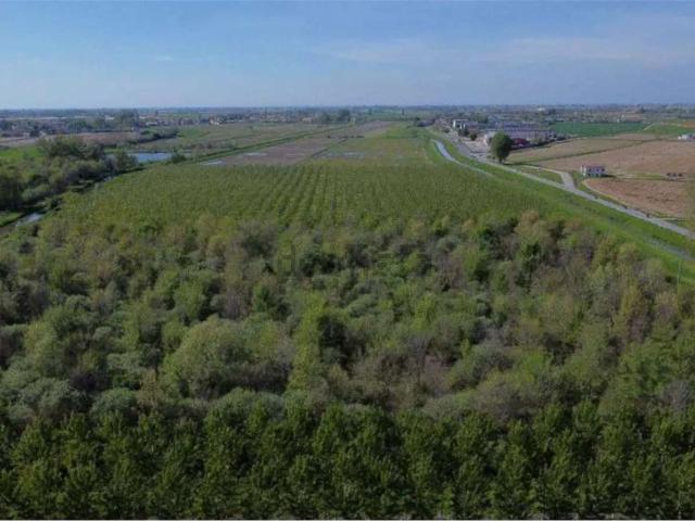 Terreno in vendita di 29309 m² in Via Santa Chiara
