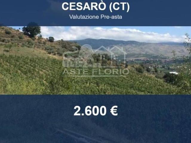 Terreno in vendita di 3040 m² in Strada Senza Nome