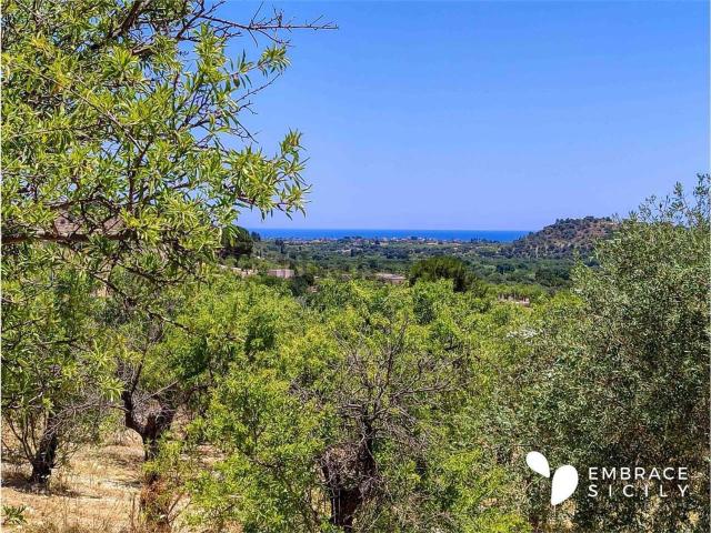 Terreno in vendita di 30411 m² in Strada Provinciale 19