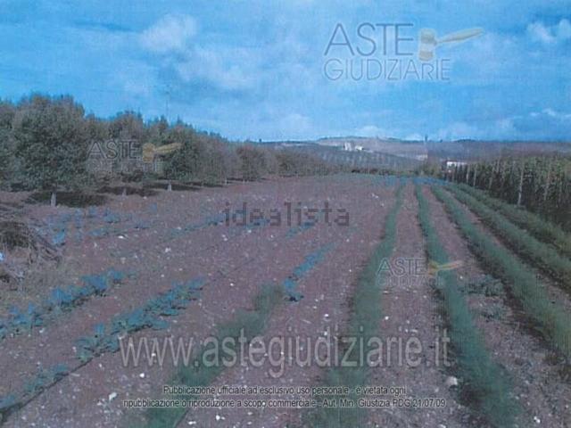 Terreno in vendita di 3050 m²