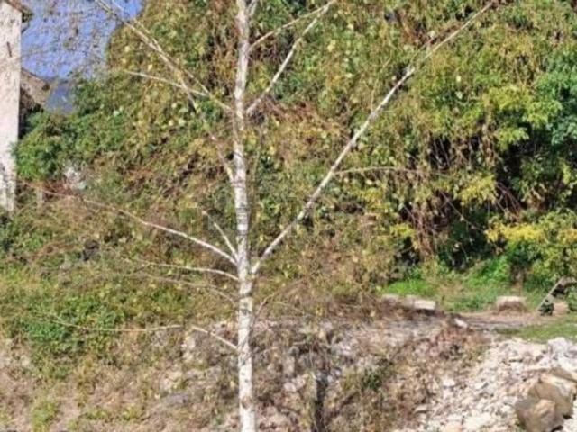 Terreno in vendita di 30548 m² in Piazza XXV Aprile