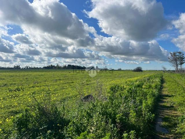 Terreno in vendita di 30735 m² in Strada per Sbitri, 14