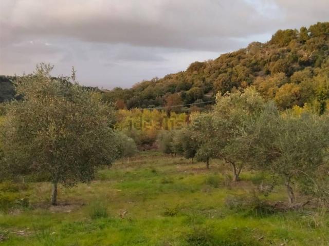 Terreno in vendita di 300000 m²