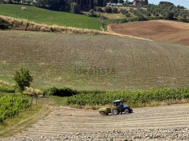 Terreno in vendita di 300000 m² in Località san piero