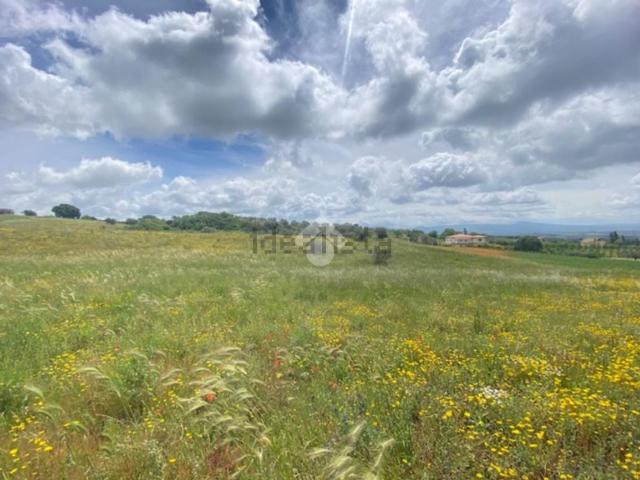 Terreno in vendita di 30000 m²