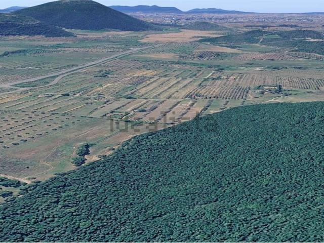 Terreno in vendita di 30000 m²
