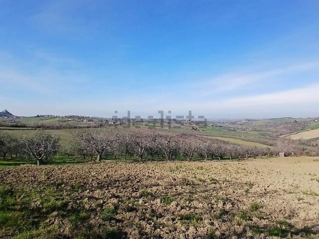 Terreno in vendita di 30000 m²