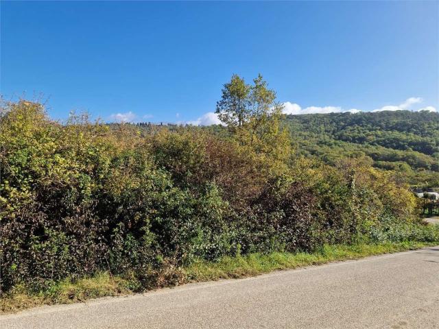 Terreno in vendita di 30000 m²