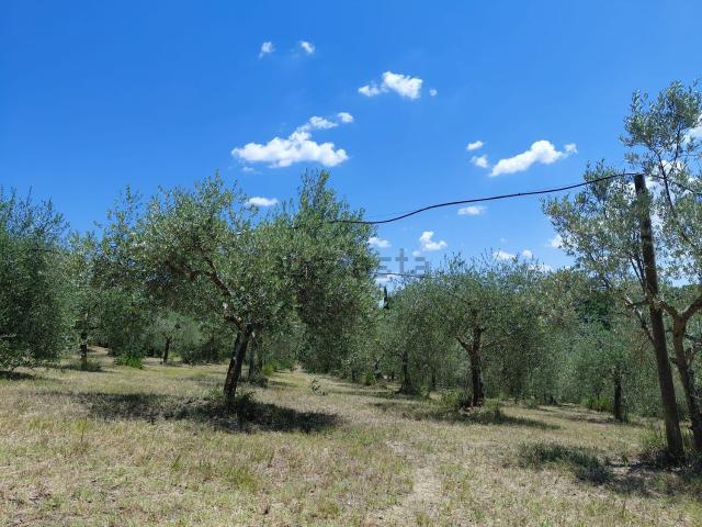 Terreno in vendita di 30000 m²
