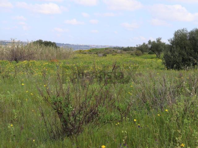 Terreno in vendita di 30000 m² in Via Generale Cascino