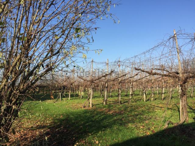 Terreno in vendita di 30000 m² in Via Imperiale