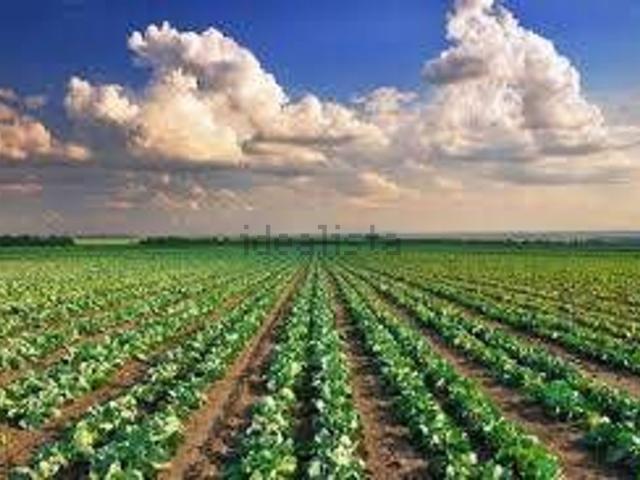 Terreno in vendita di 30000 m² in Via San Marco