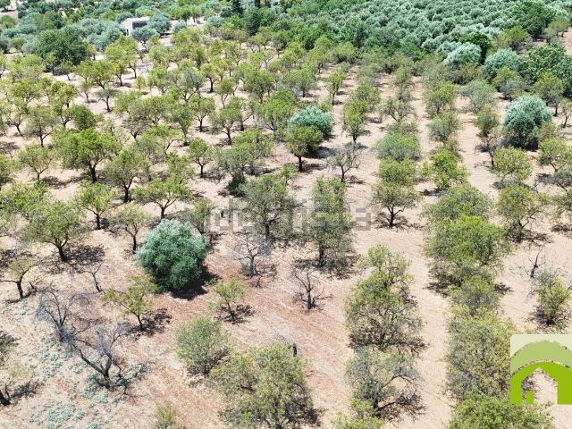 Terreno in vendita di 30000 m² in Contrada Volpiglia